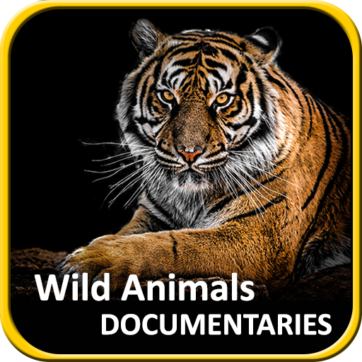 Wild Animals Documentaries Channel