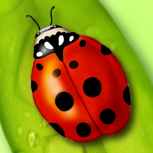 ladybug live wallpaper