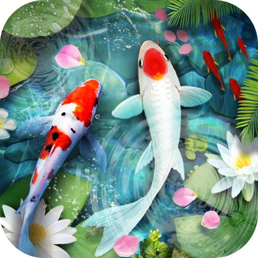 Lively Koi Fish 3D Theme