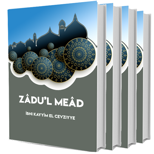 Zâdu'l Meâd