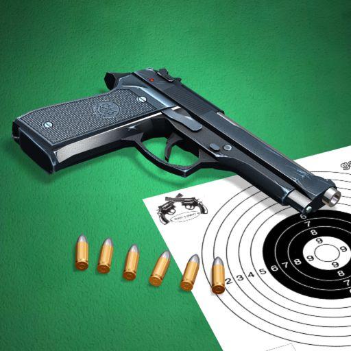 Pistol Shooting. Gun Simulator