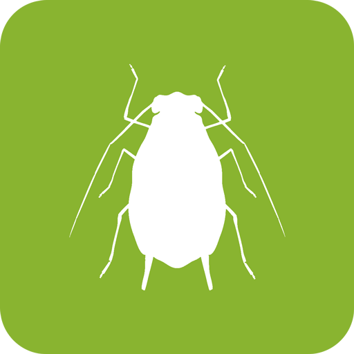 BugFinder