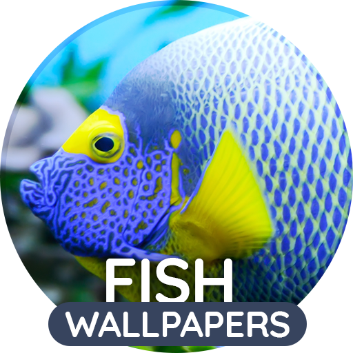 Wallpapers 4K with fish