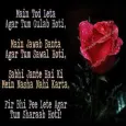 Hindi Shairi