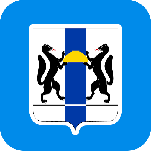 Дневник Новосибирской области