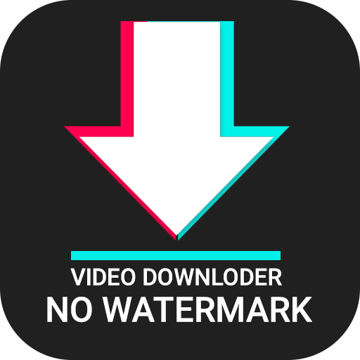 No Watermark Tiktok Downloader