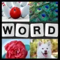Word Picture - IQ Word Brain G