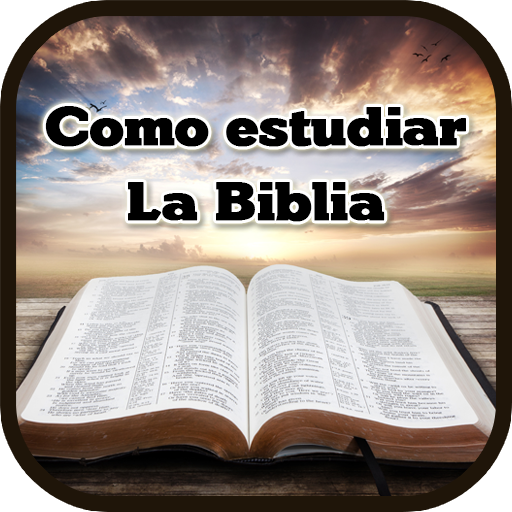 Como estudiar la Biblia