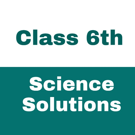 Class 6 Science NCERT Solution