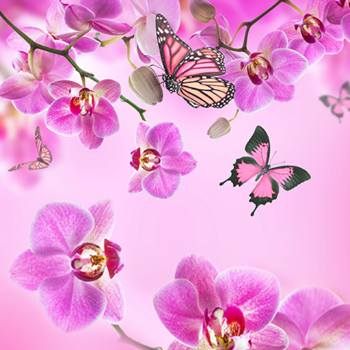 Pink Flowers Live Wallpaper