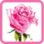 Rose Flower Pixel