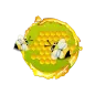 LifeBee