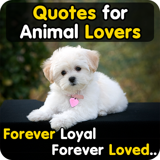 Animal Lover Quotes - Dog Love