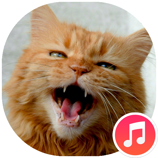 sons de gato