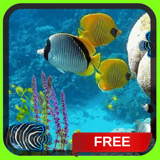 Fish in Water Live Wallpaper Free Animated Theme