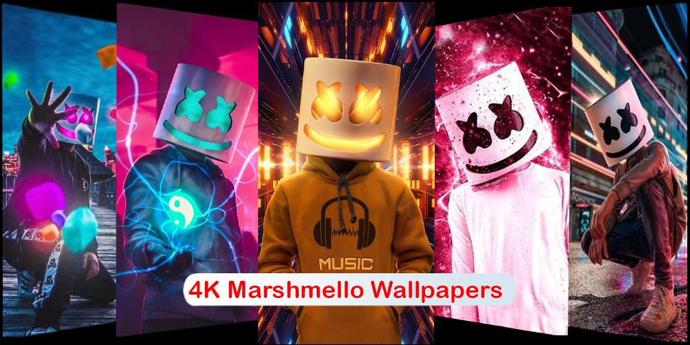 Download Neon Signs Background Marshmello Hd Iphone Wallpaper  Wallpapers com