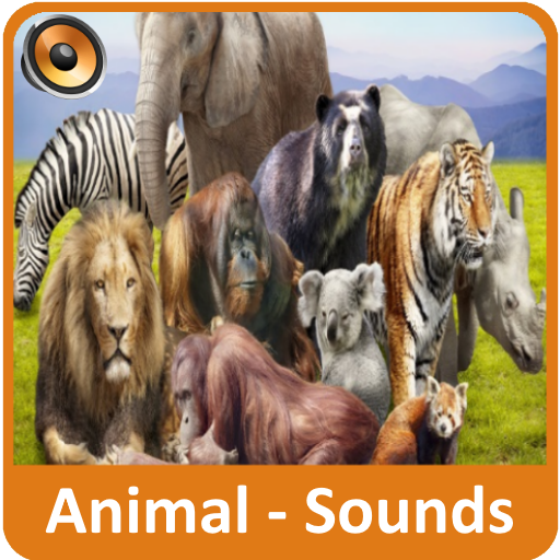 Animal Sounds