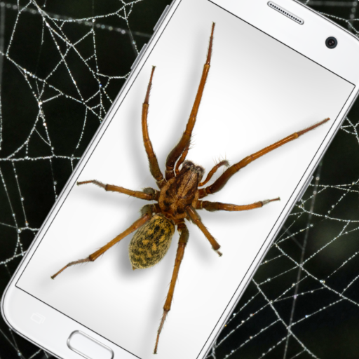 แมงมุมบนหน้าจอหลอกๆ - iSpider