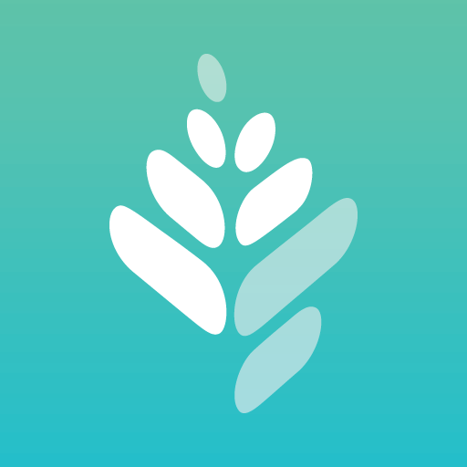 Treehouse by Evergreenhealth