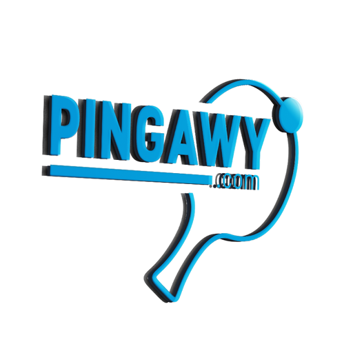 PINGAWY App(Egypt and MENA Fir