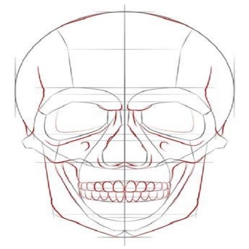 Draw Skulls