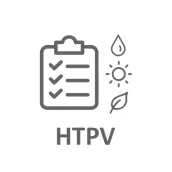 HTFV