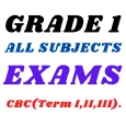 Grade 1 Exams: Term I, II, III