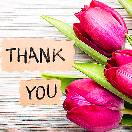 Спасибо стикеры для ватсапа