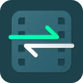 Video Converter - Remux