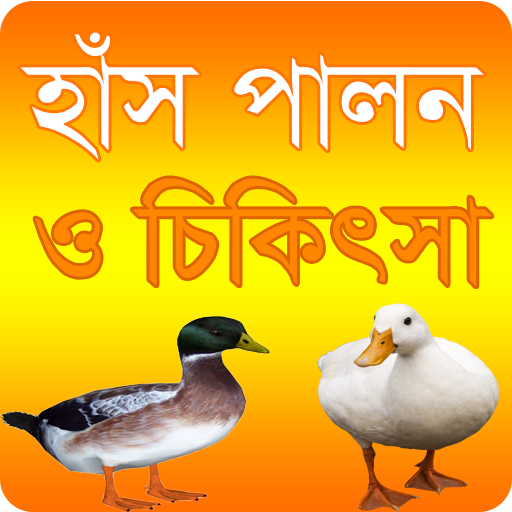 হাঁস লালন পালন ও চিকিৎসা পদ্ধত