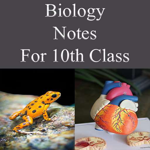 Biology Notes For 10th Class