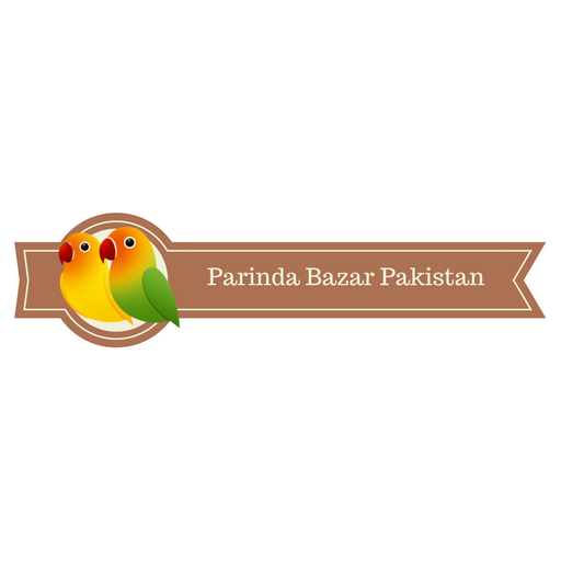 Parinda Bazar Pakistan