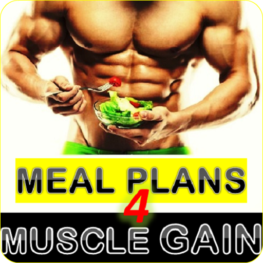 Meal Planner For Muscle Gain