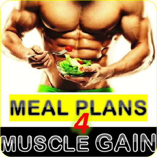 Meal Planner For Muscle Gain