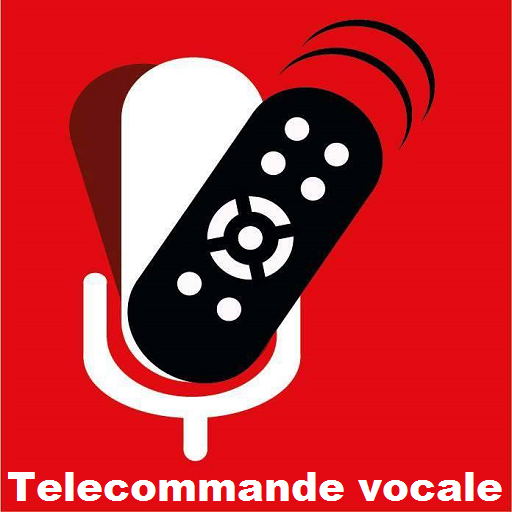 Télécommande Vocale Toutes Box