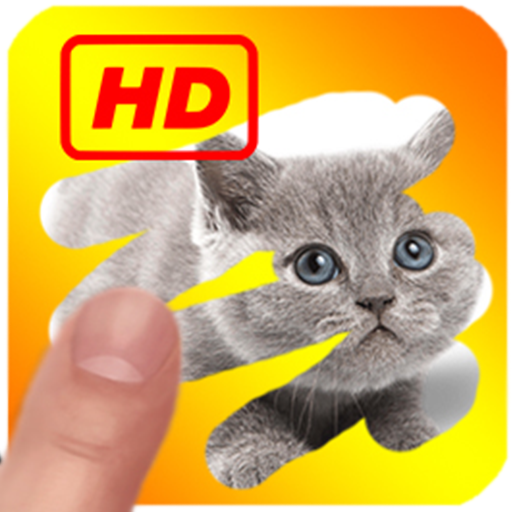 What animal in the photo?