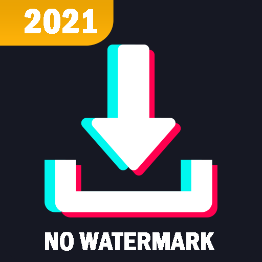 TikTok Video Downloader - No Watermark