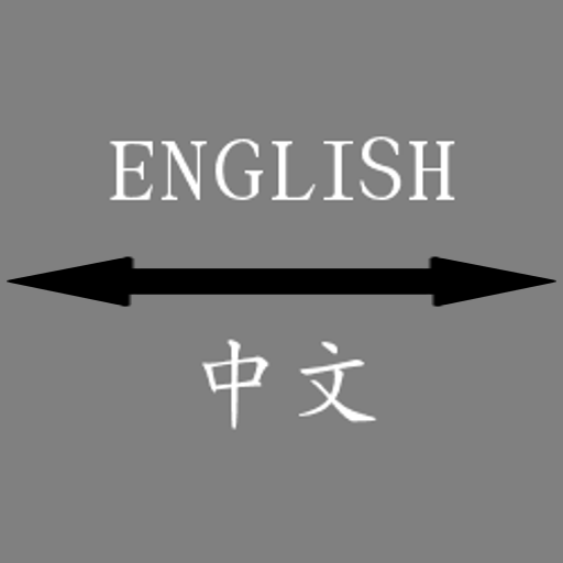 English - Chinese Translator