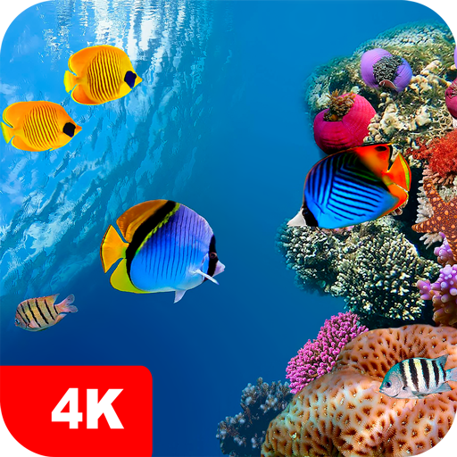 Обои подводный мир и рыбки 4K