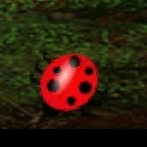 Larry the Ladybug