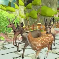 Deer Racing in Jungle