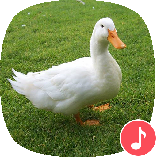 Appp.io - Duck Sounds