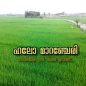 Hello Maranchery
