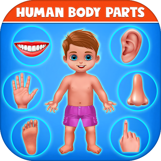 Human Body Parts - Kids Games