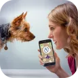 Dog Language Translator