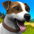 Dog Shelter Animal Rescue Sim