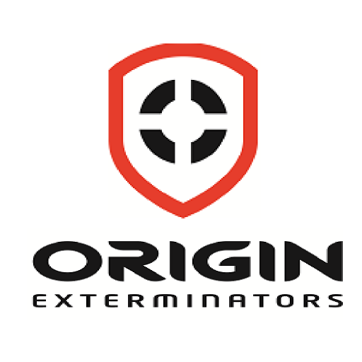 ORIGIN
