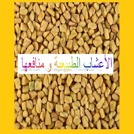 الأعشاب الطبيعية و منافعها