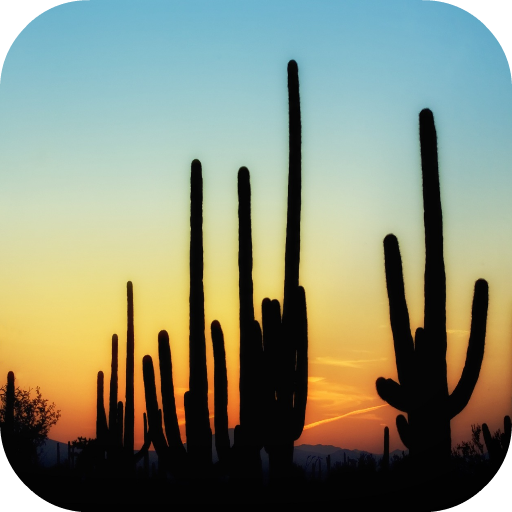 Cactus Wallpapers