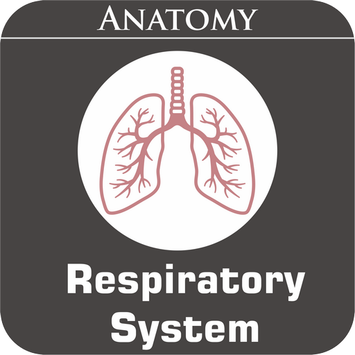 Respiratory System